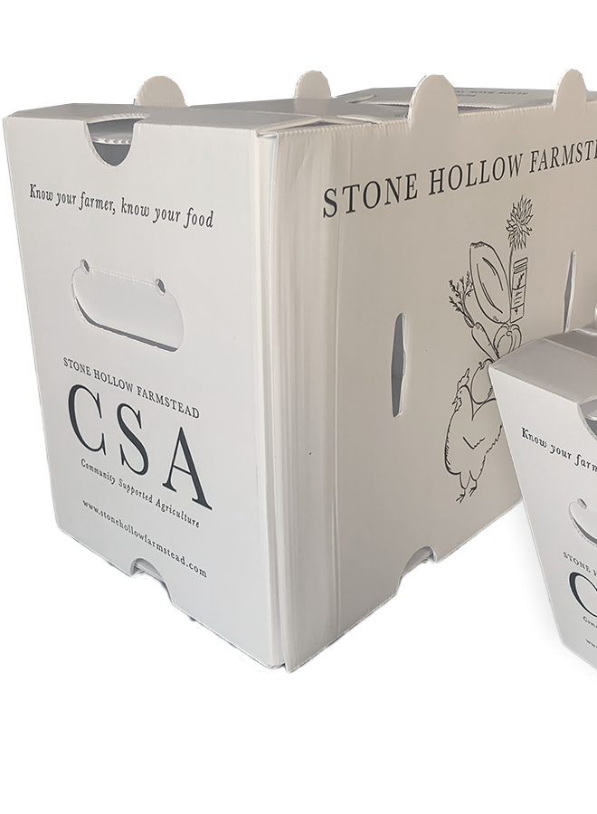 微信图片_20250704111446