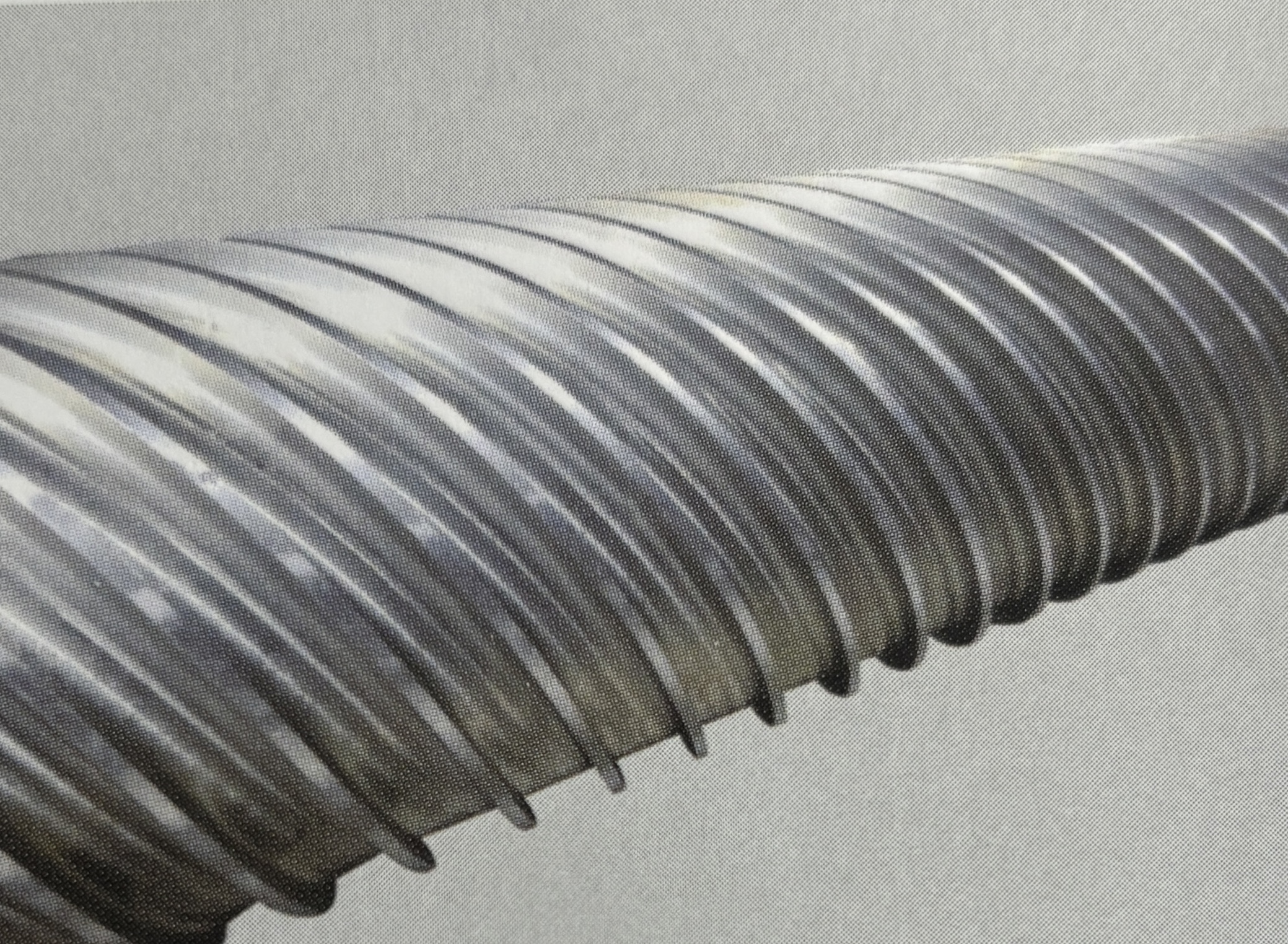 薄肉で効率的なローラー